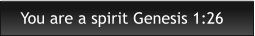 You are a spirit Genesis 1:26