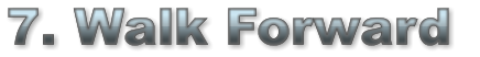 7. Walk Forward  7. Walk Forward  7. Walk Forward