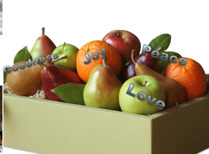 Love Love Love Joy Joy Joy Goodness Goodness Goodness Peace  Peace  Peace
