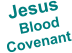 Jesus     Blood Covenant